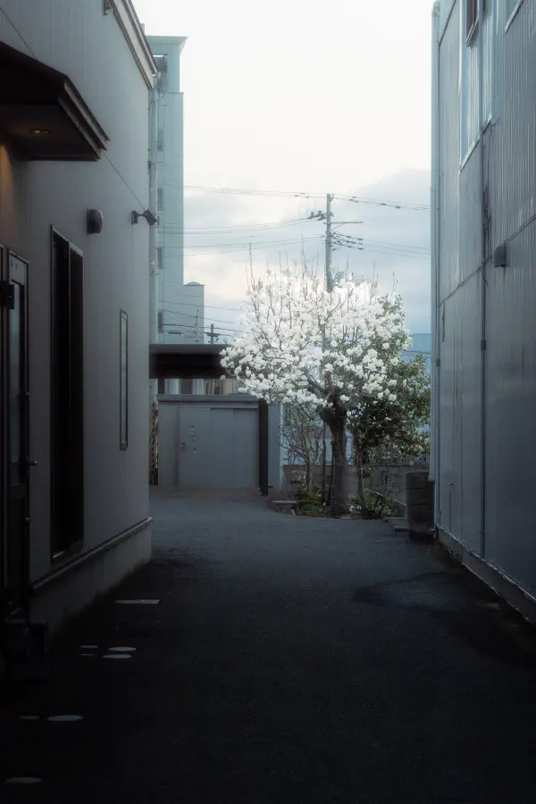 /img/gallery/01_japan/DSC09003-1.jpg