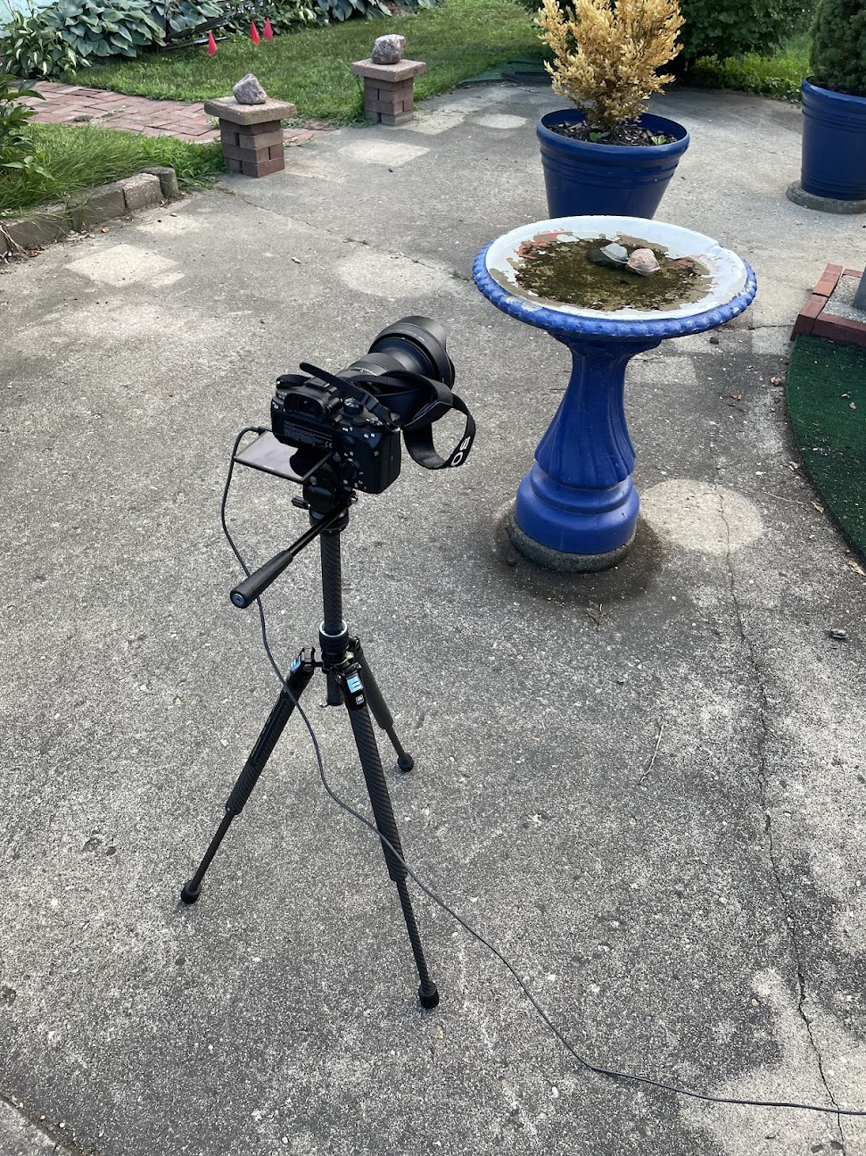 tripod